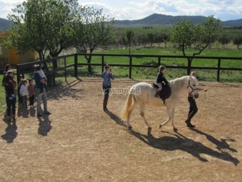 dawn sheen share juan el caballo age photos