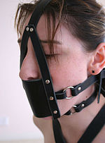 bruce godwin add photo bdsm muzzle gag