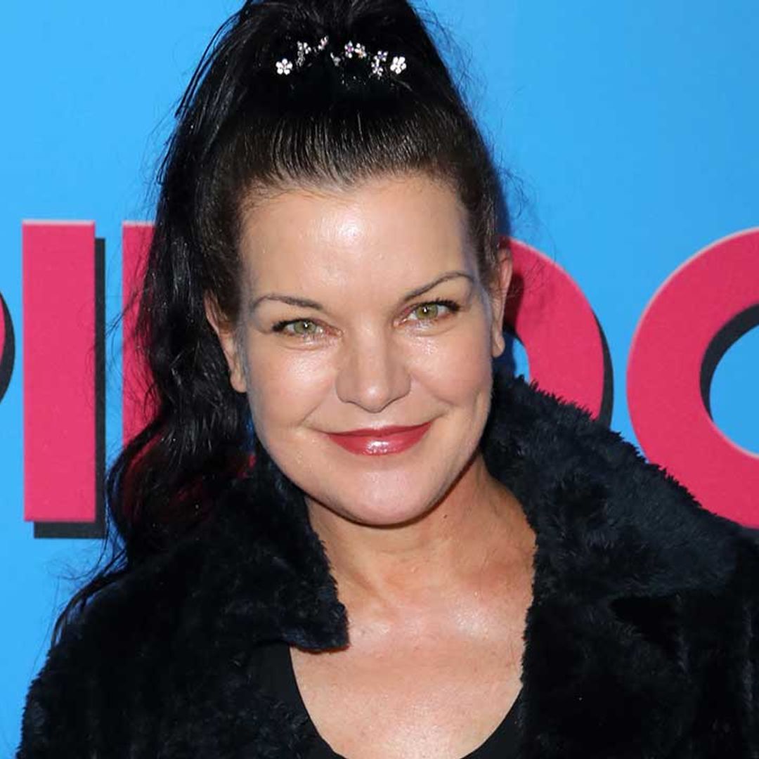 chip newsome recommends pauley perrette nude pictures pic