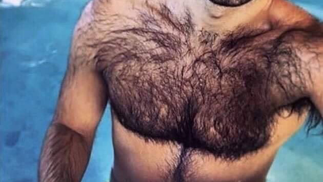 anthony j rotella share hairy men tumbler photos