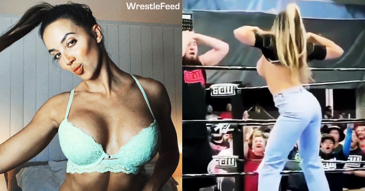 ashley schemm recommends wwe boobs pic