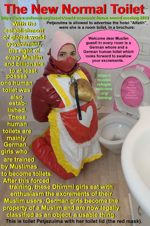 diane laliberte recommends Toilet Slave Videos