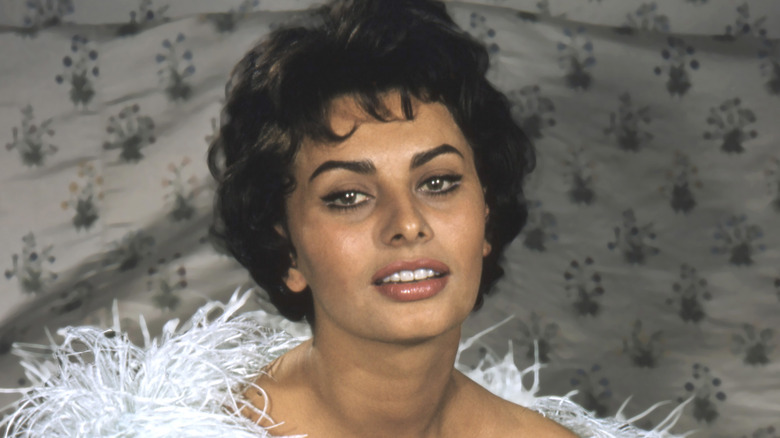 craig ladner add photo sophia loren titties