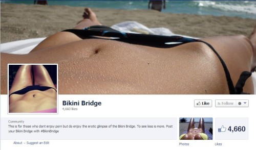 darryl li recommends Bikini Bridge Pictures