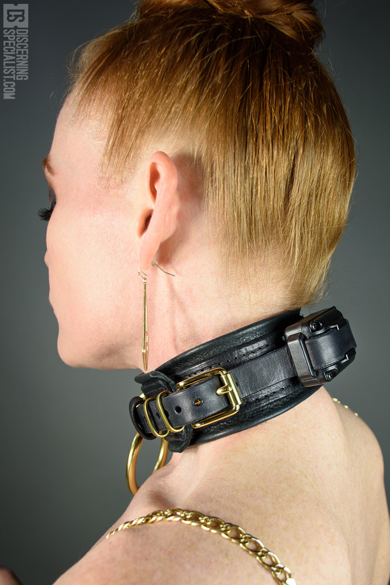 Best of Shock collar bdsm